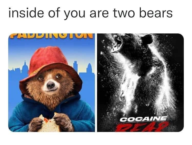 There are 2 bears