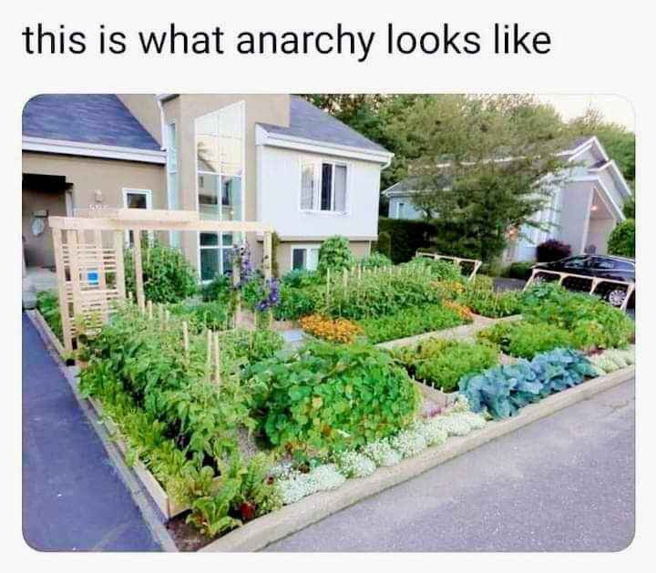 This is what anarchy looks like