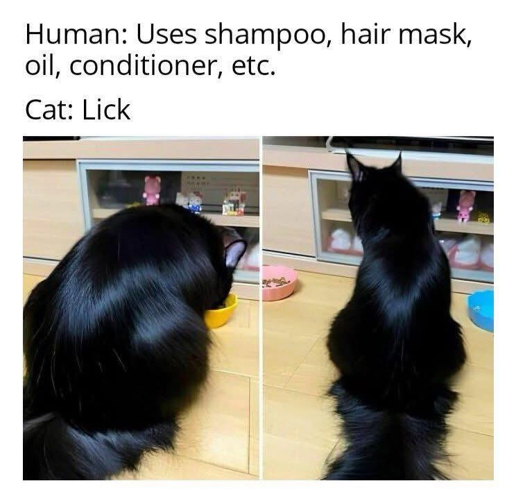 20 Memes That Should Come With Elevator Music 14 Uses shampoo