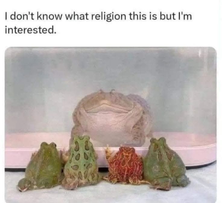 20 Memes That Don’t Care About Your Expectations 19 WHat religion is this