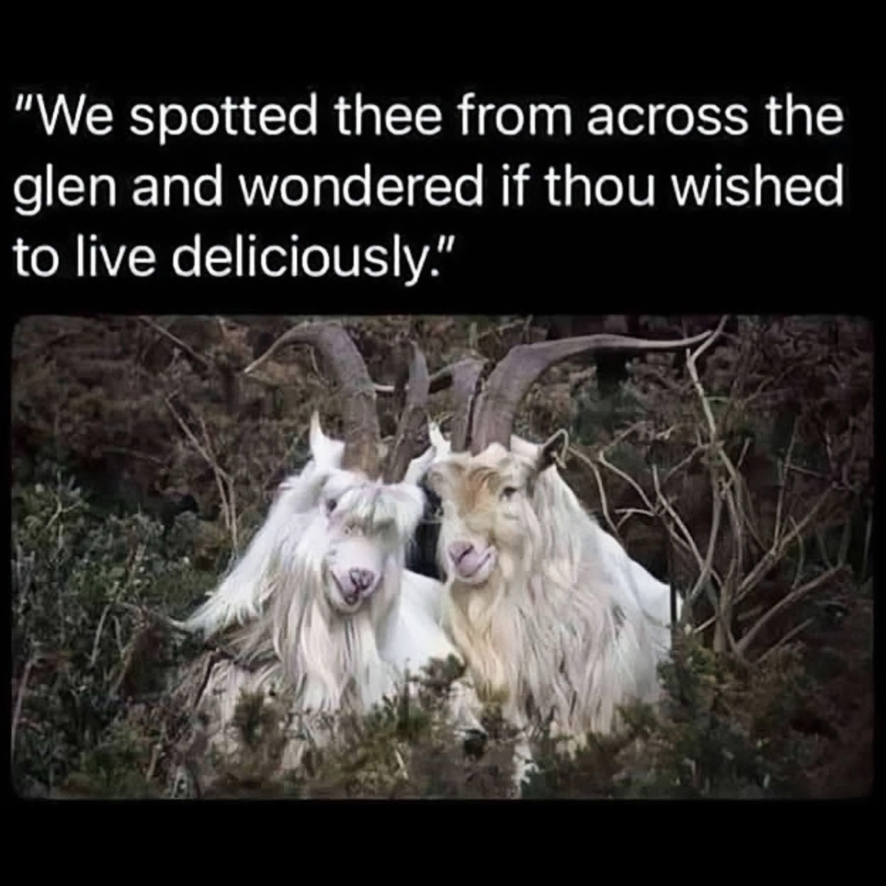 We spotted thee