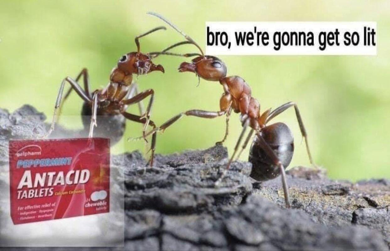 We're gonna get so lit