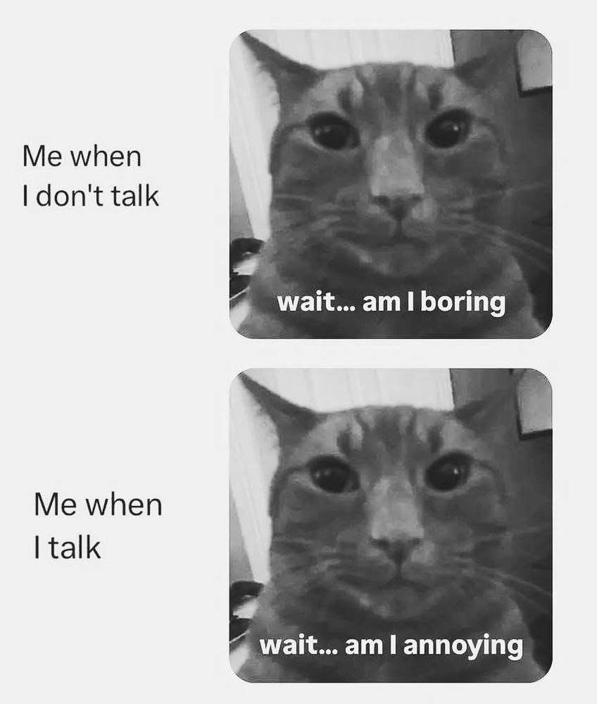 20 Introvert Memes That Are Loud Internally and Silent Externally 20 When I dont talk