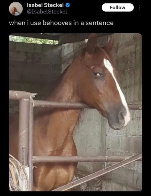 20 Memes That Should Come With Elevator Music 16 When I use behooves in a sentence