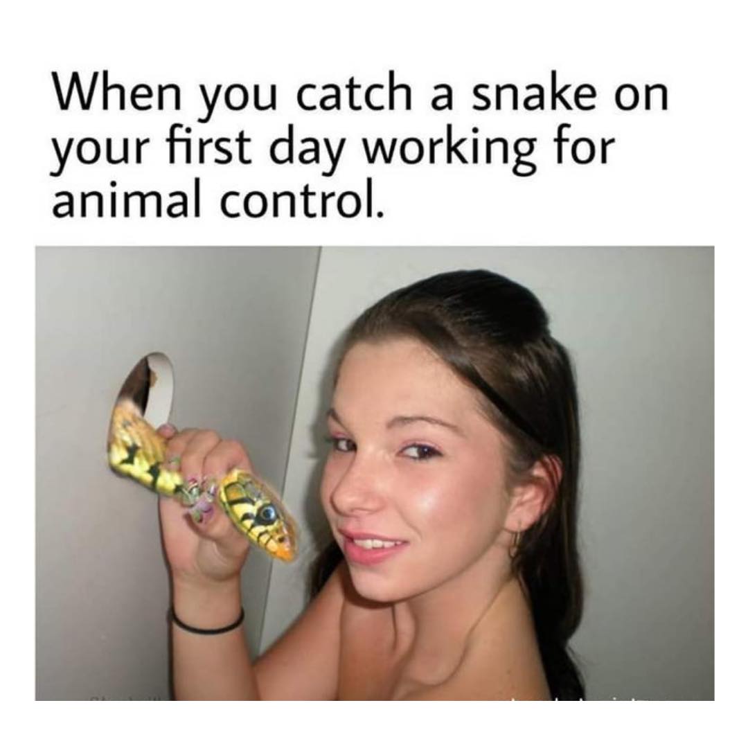 When you catch a snake