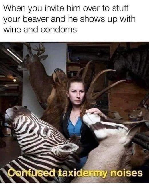 40 Irresistibly Funny Memes That Are Pure Comedy Gold 40 When you invite him