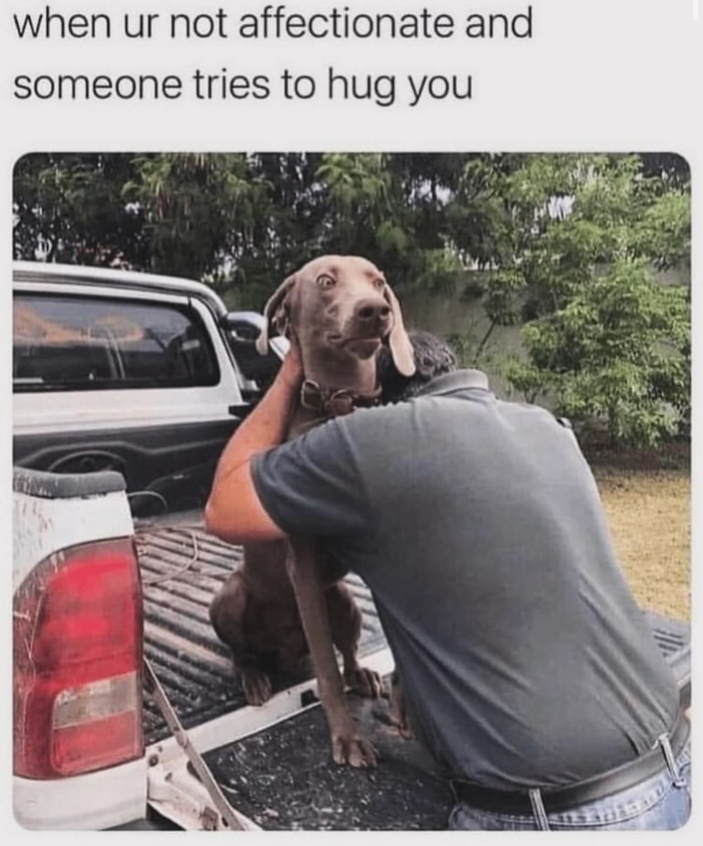30 Accurate Introvert Memes: Because We'd Rather Scroll Than Socialize 32 When youre not affectionate