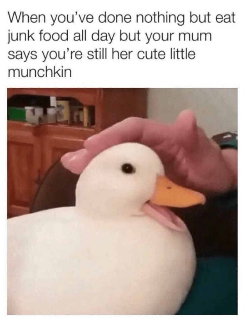 20 Memes That Have No Context and Even Less Shame 20 When youve done nothing