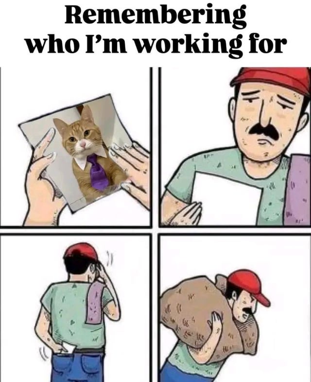 20 Memes That Are Funny, Relatable, and Slightly Naughty 20 Who Im working for