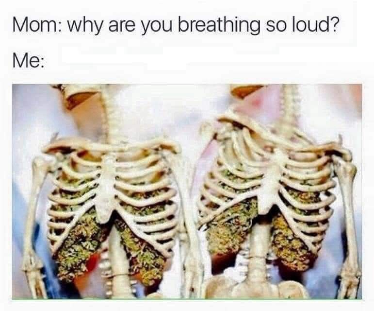 Why are you breathing so loud
