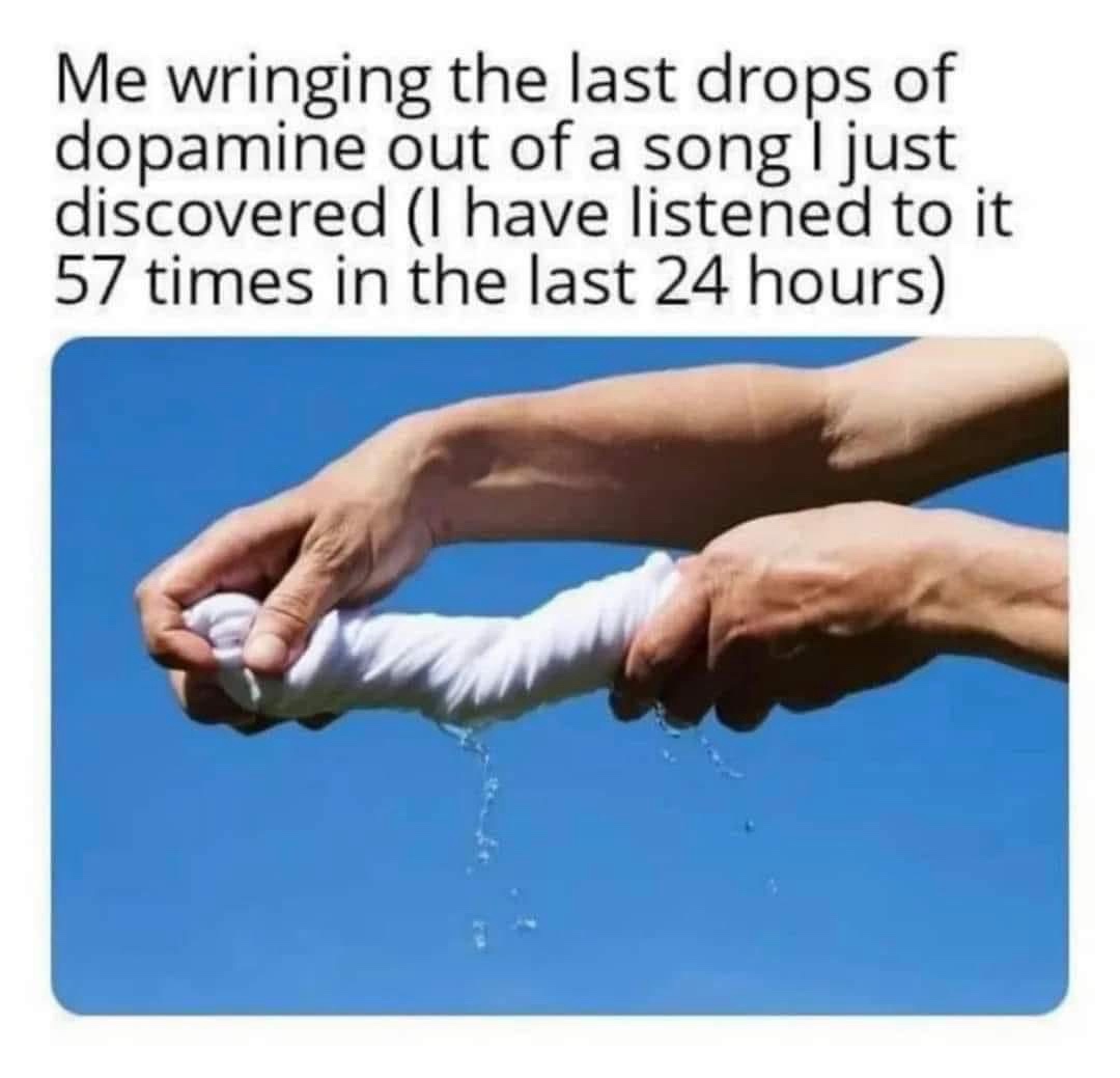 20 Memes That Exist for No Reason and That’s the Reason 20 Wringing the last drops