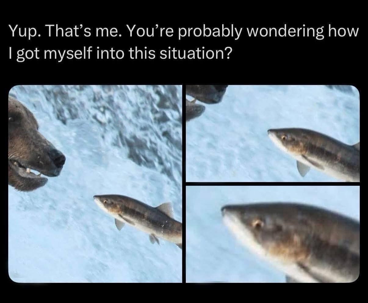 20 Memes That Hit Like a Plot Twist With No Plot 20 You thats me