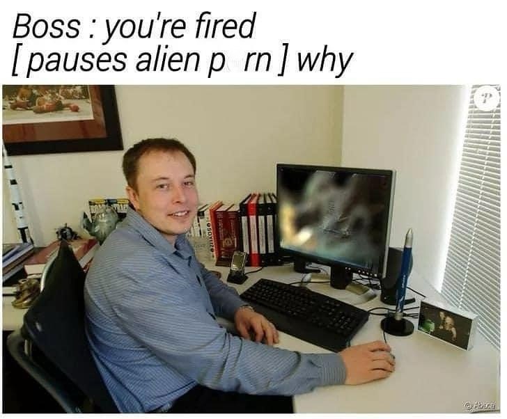 Youre fired