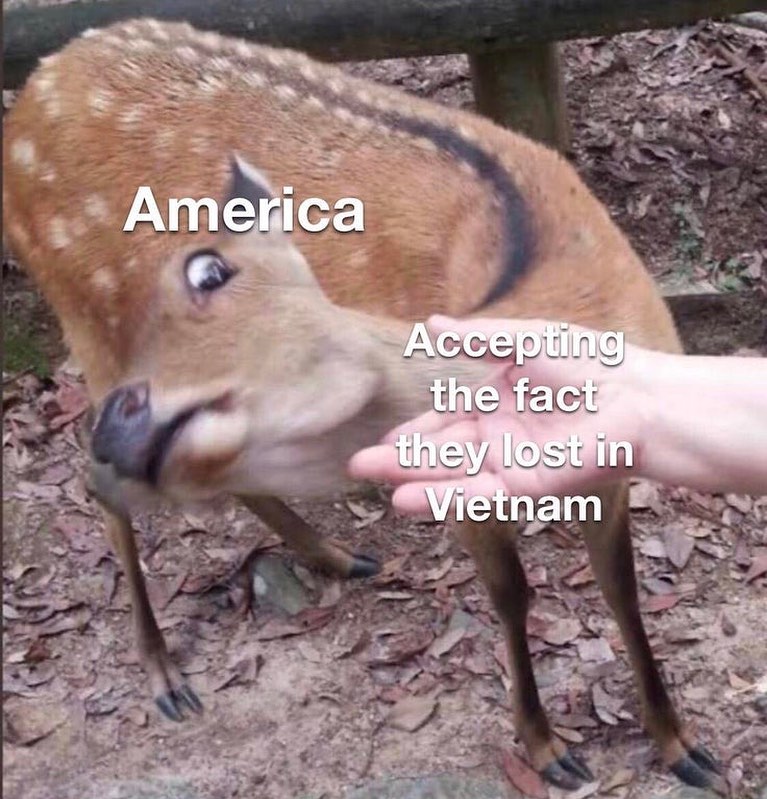 20 Funny History Memes That Feel Historically Accurate but Emotionally Unhinged 3 accepting the fact