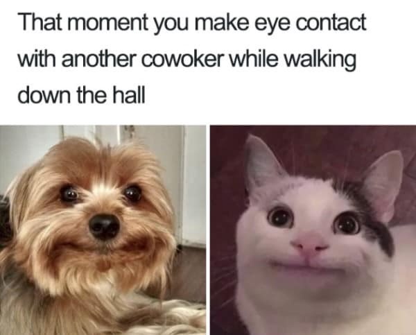 23 Workplace Memes That Expose What Really Happens at the Office 3 alking down the hall