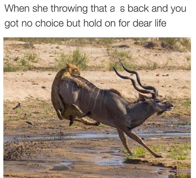 30 Naughty Memes That Will Ruin Your Innocence in 3… 2… 28 but hold on