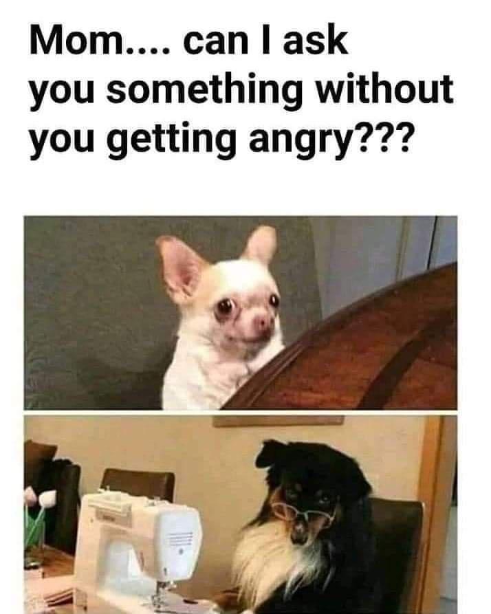 can I ask you something