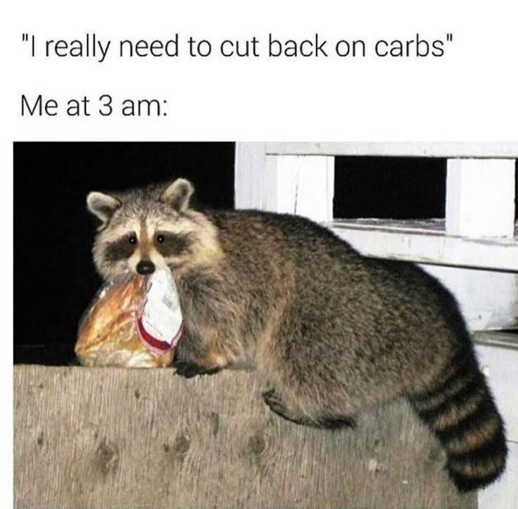 20 Memes Powered by Chaos, Poor Decisions, and Snacks 5 cut back on carbs