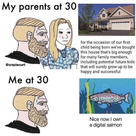 20 Memes That Are Funny, Silly, and Occasionally Questionable 4 digital salmon