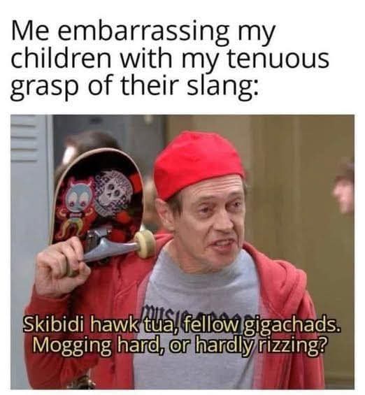 20 Memes That Explained Nothing but Felt Correct 4 embrasshing my children