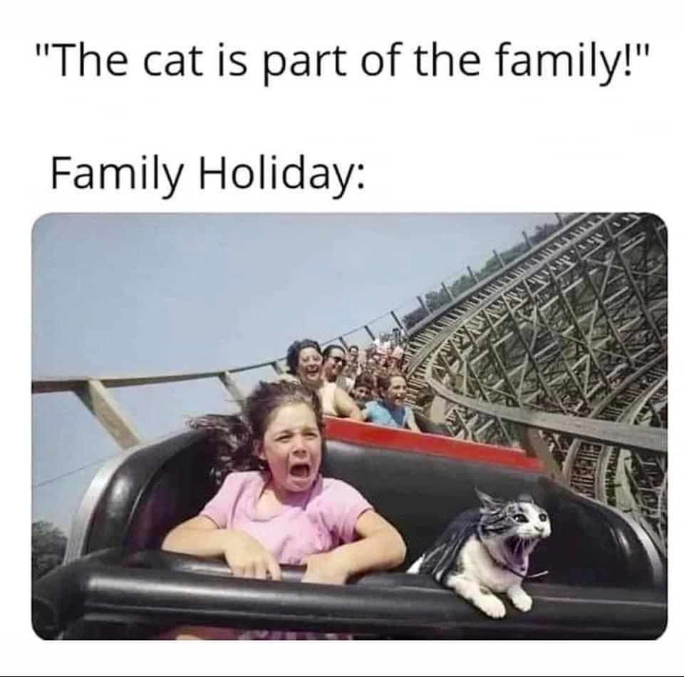 family holiday