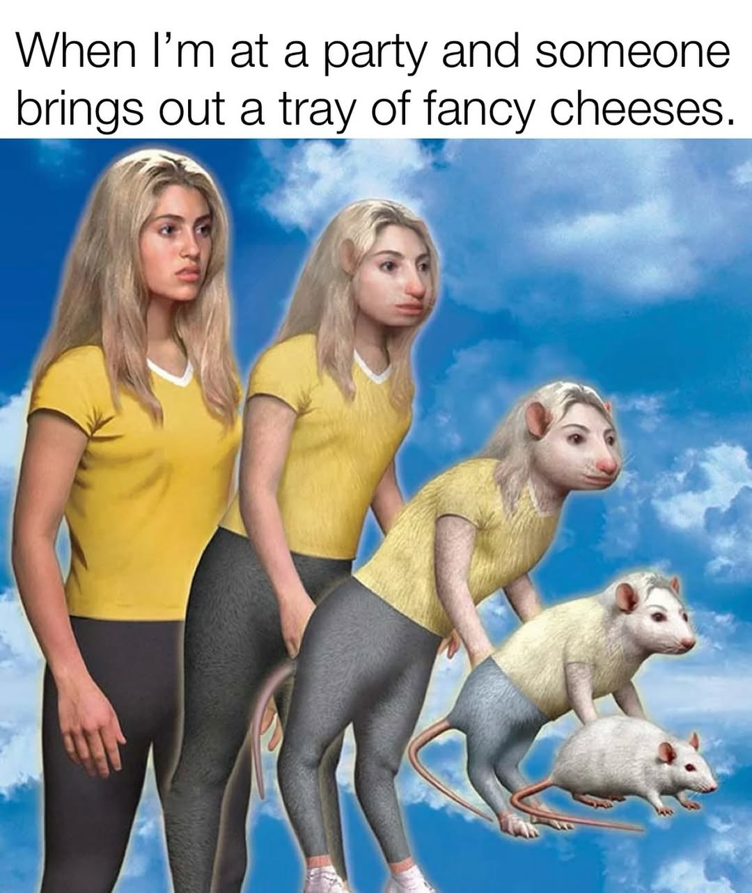 fancy cheese