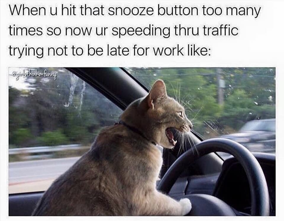 23 Workplace Memes That Expose What Really Happens at the Office 9 hit snooze button