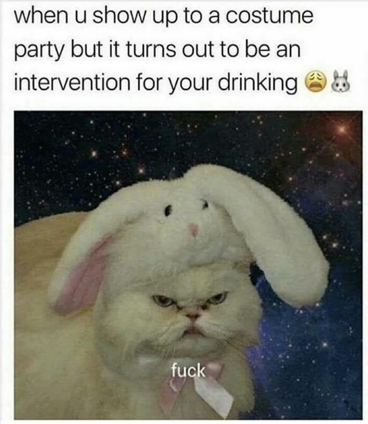 howed up to costume party