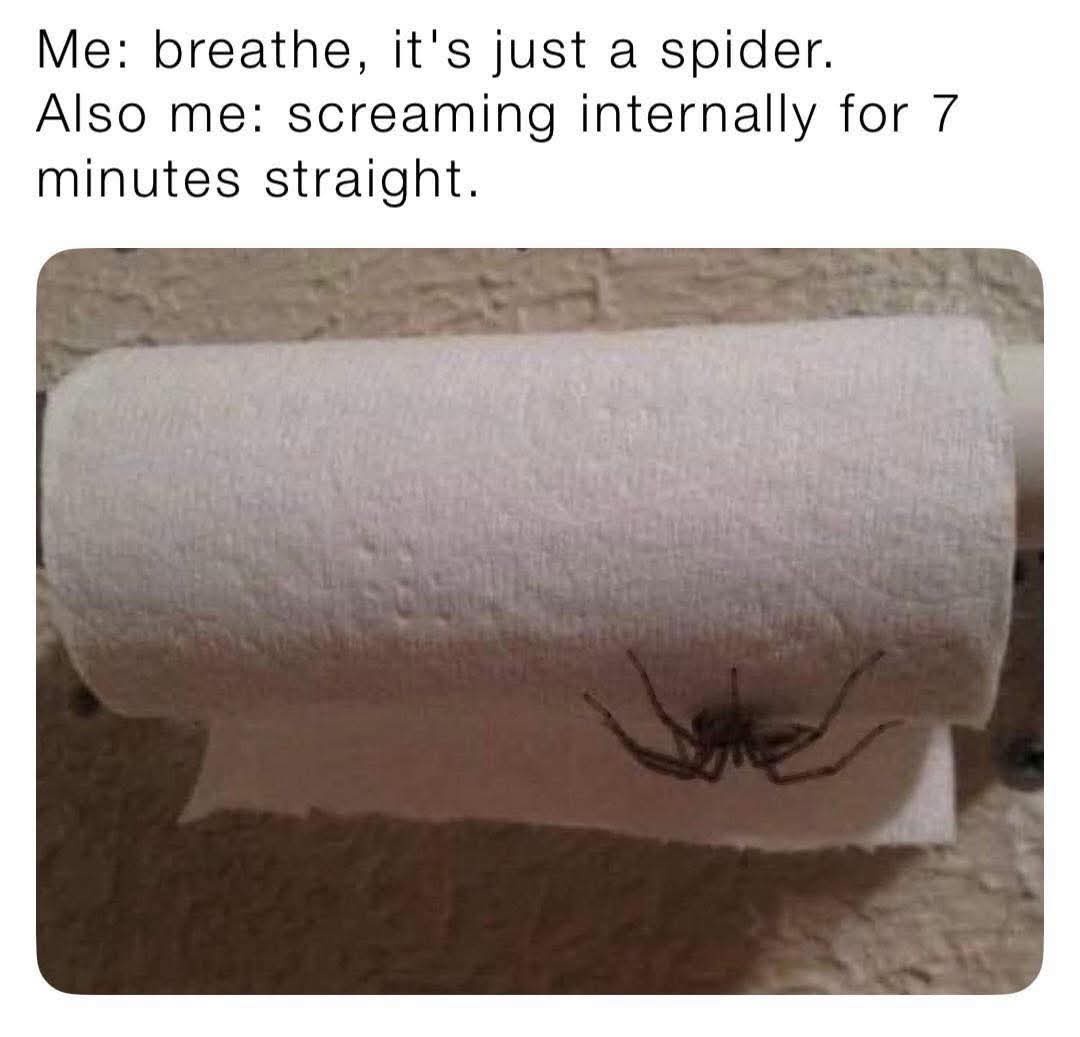 just a spider