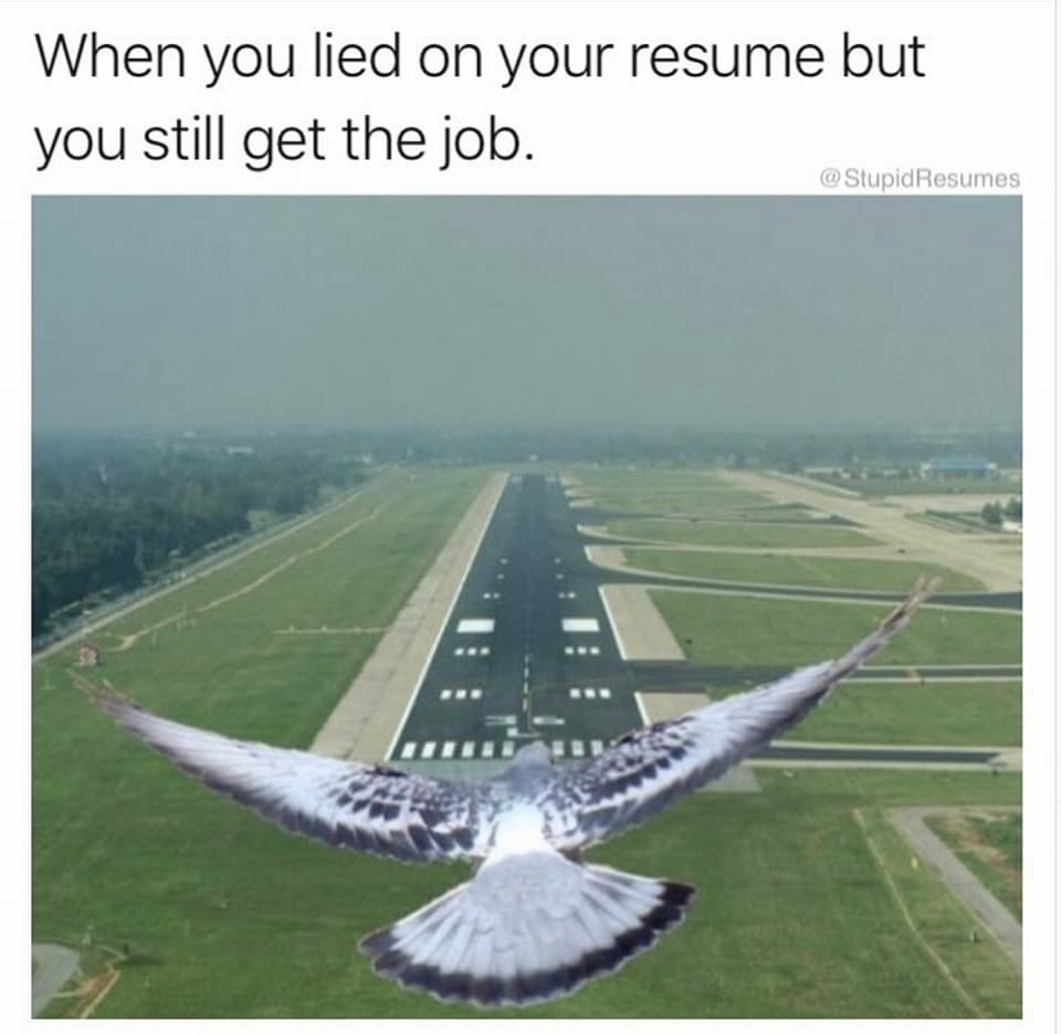 23 Workplace Memes That Expose What Really Happens at the Office 11 lied on sesume