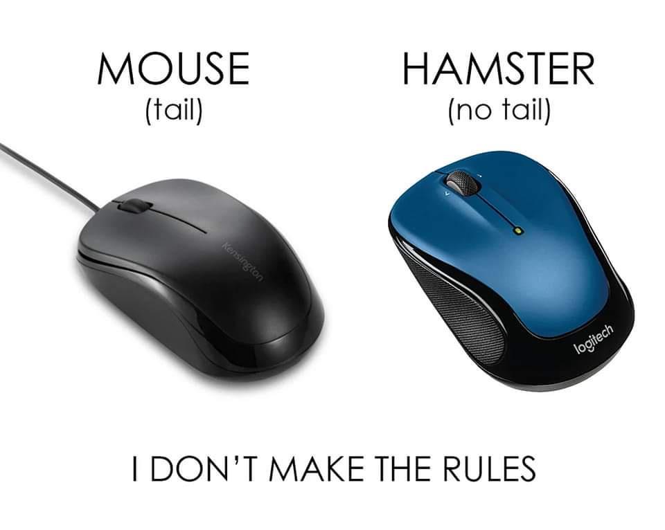 mouse vs hamster