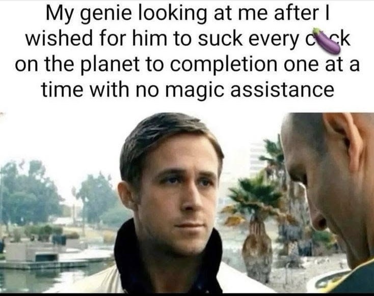 20 Memes That Don’t Care About Your Expectations 14 my genie looking at me