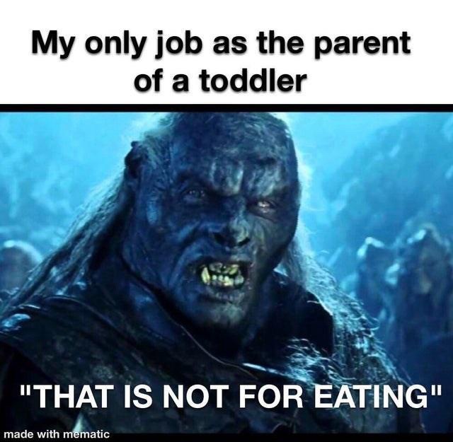45 Funny Stuff for Your Toilet Time Entertainment 45 my only job
