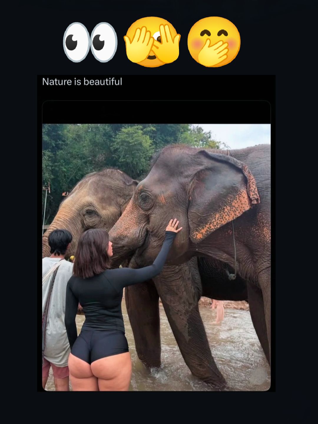 nature is beatutiful