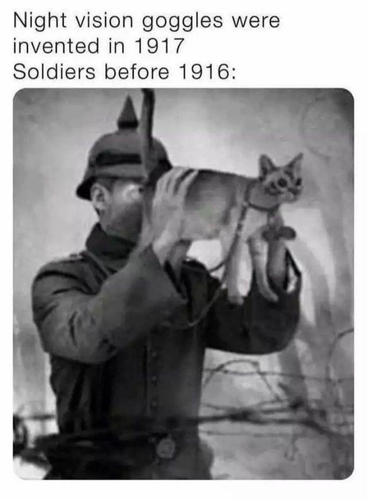 30 Memes That Were Clearly Banned from Common Sense 31 night goggles were used
