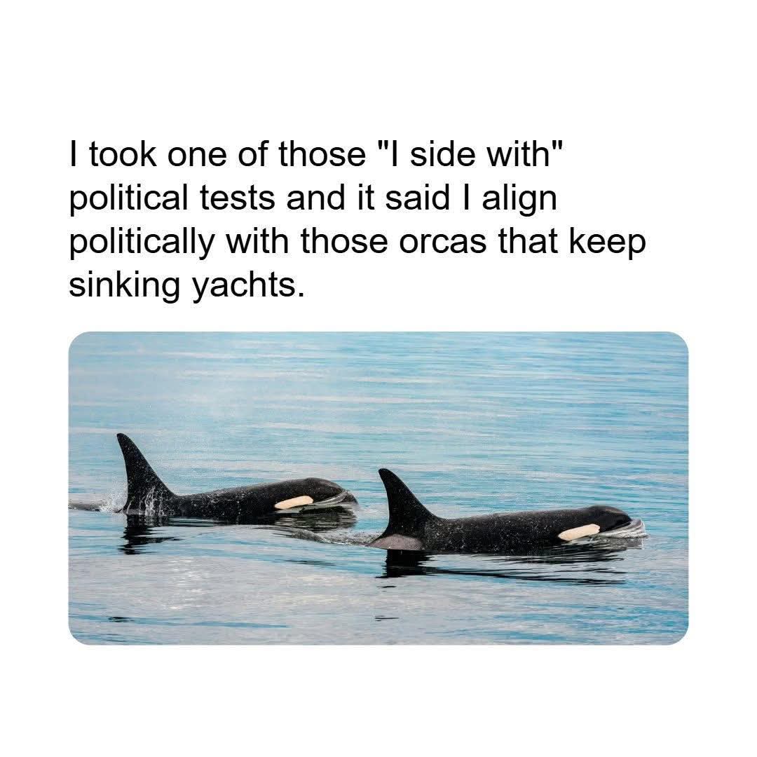 20 Memes That’ll Make You Exhale Through Your Nose Aggressively 14 political tests