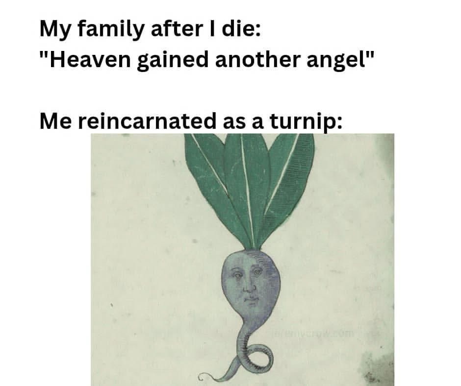 reincarnated as turnip