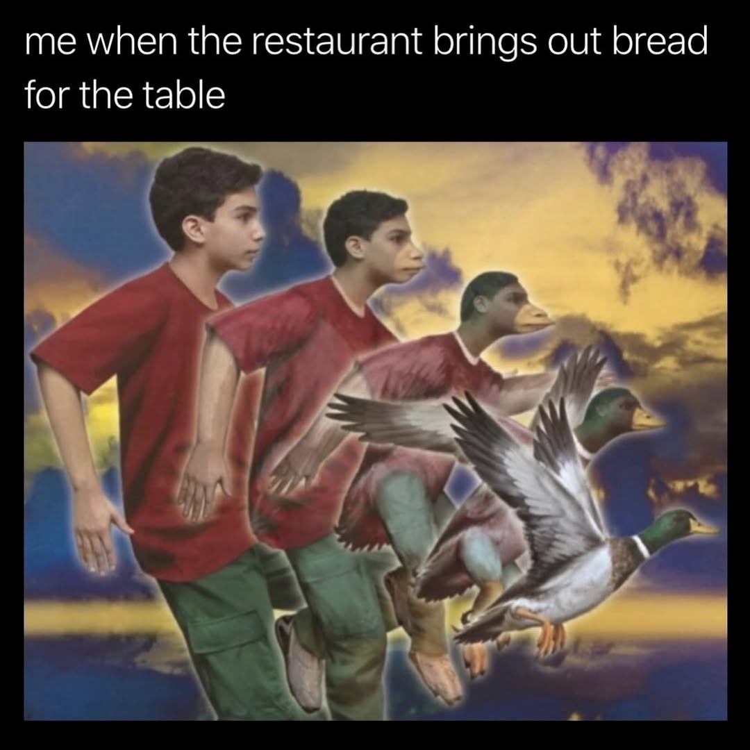 restaurant brings out bread