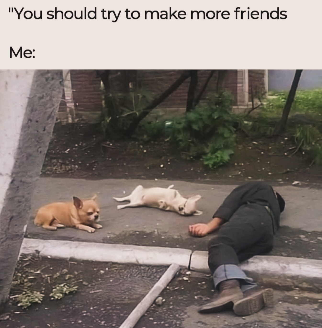 20 Introvert Memes That Are Loud Internally and Silent Externally 15 ry to make more friends