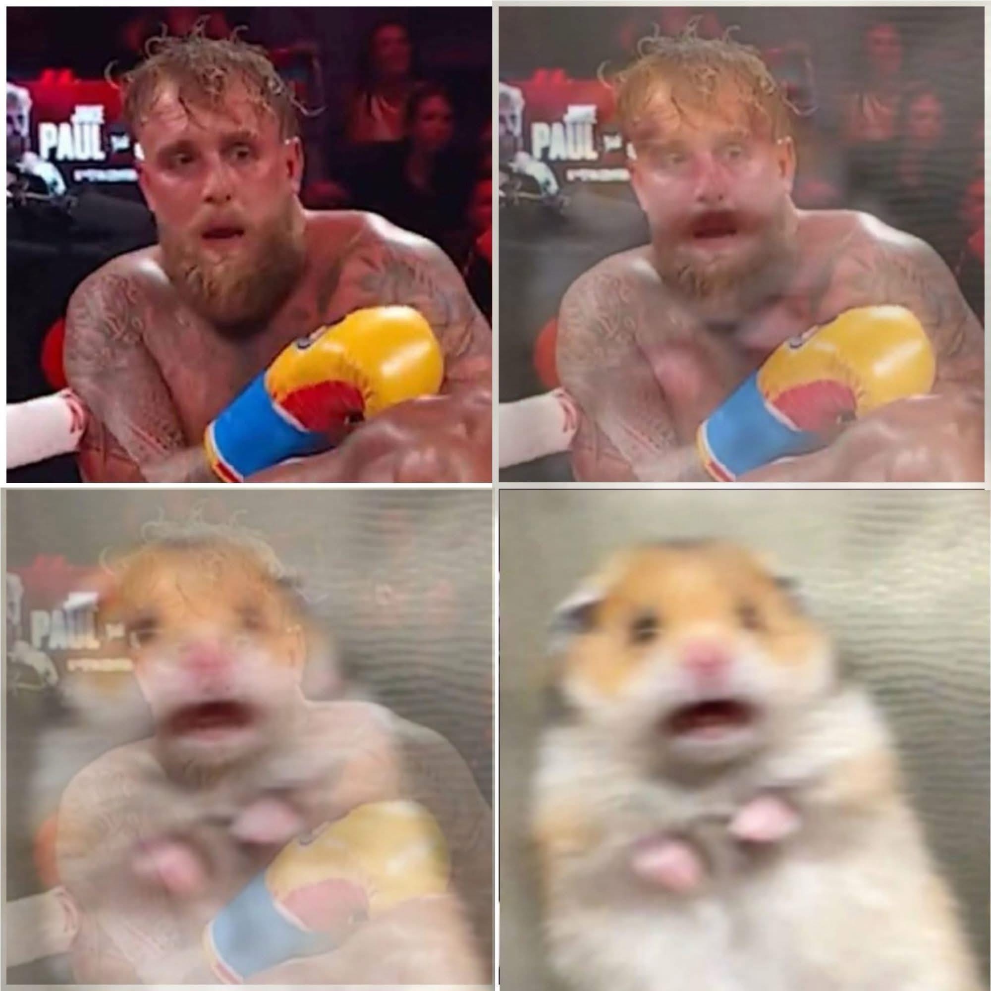 20 Memes That’ll Make You Exhale Through Your Nose Aggressively 16 scared rabbot