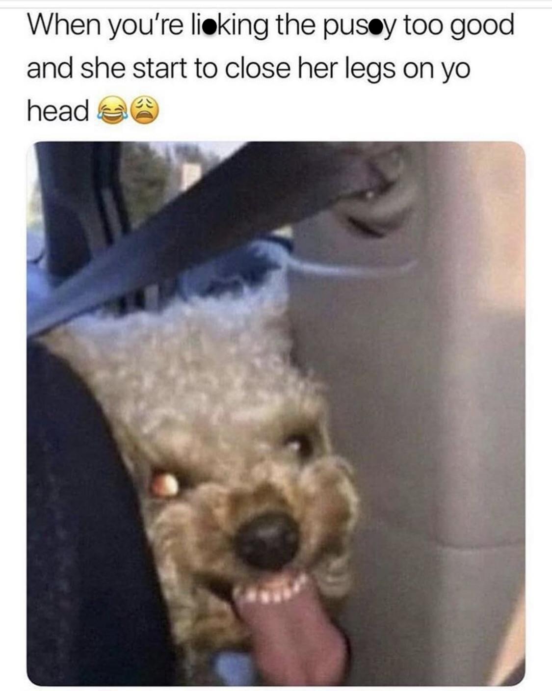 35 Cheeky Memes That Are Pure Guilty Pleasure 36 start to close