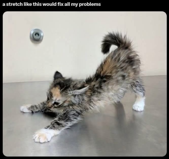 20 Random Memes That Have Zero Purpose but 100% Fun 13 stretch like this