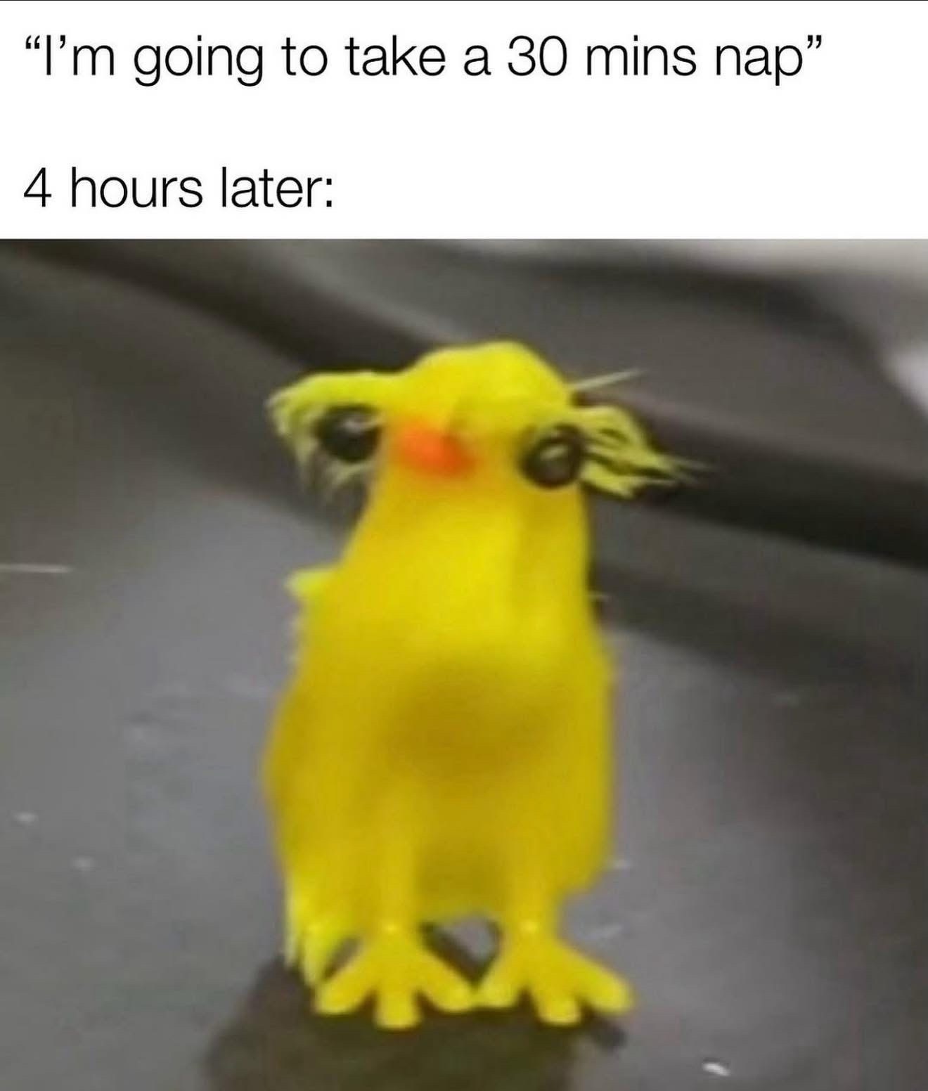 20 Memes That Are Funny, Relatable, and Slightly Naughty 18 take a nap