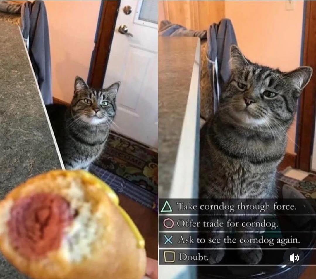 20 Memes Powered by Chaos, Poor Decisions, and Snacks 16 take corndog