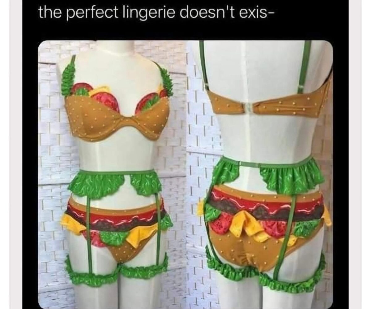 20 Memes That Hit Like a Plot Twist With No Plot 18 the perfect lingerie