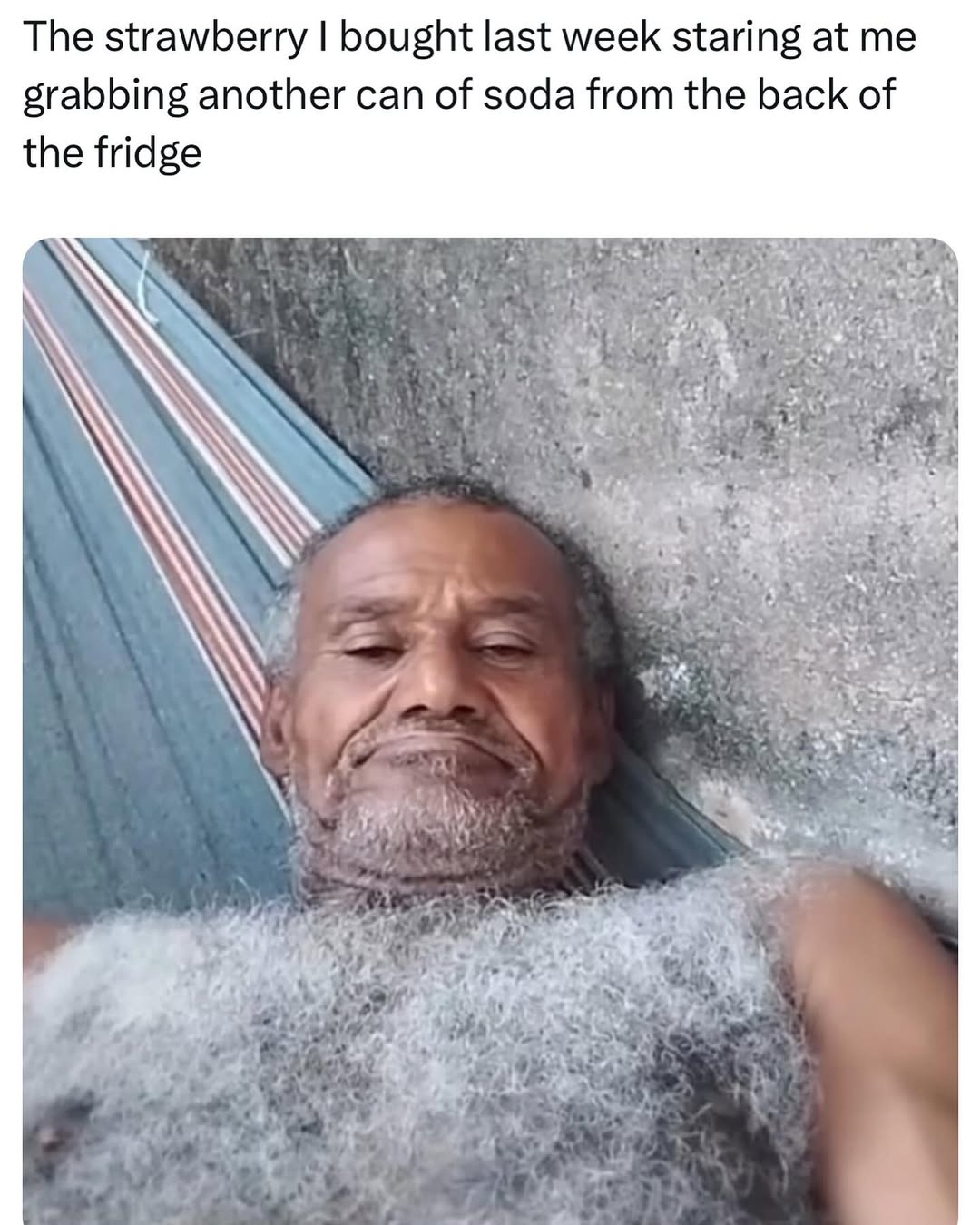 the strawberry I brought