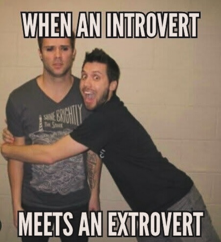 20 Introvert Memes That Are Loud Internally and Silent Externally 17 trovert meets an etrovert