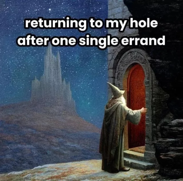 Top 40 Introvert Memes That Every Introverted Soul Will Relate To 38 After one single errand