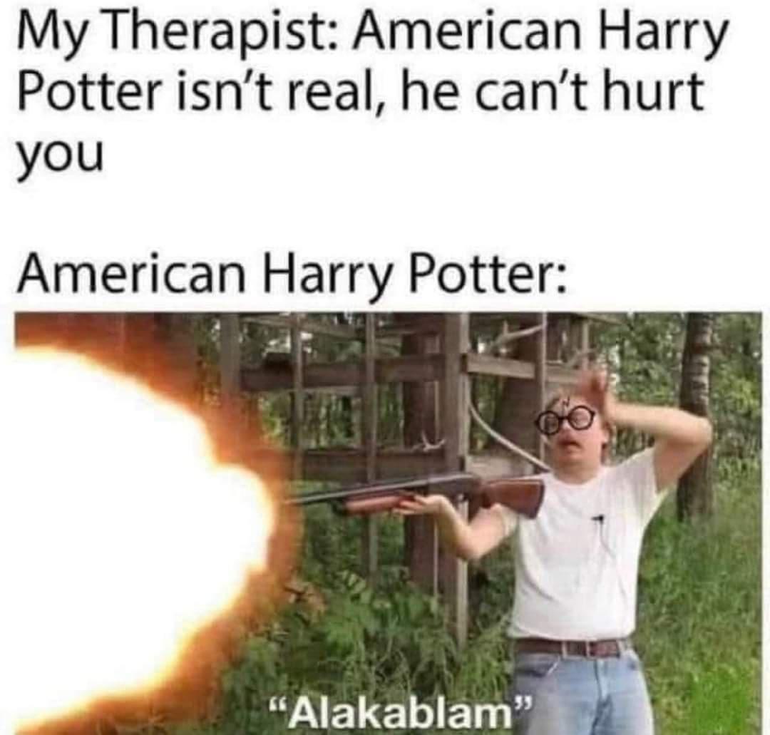 20 Memes With No Theme, Just Audacity 2 American harry potter