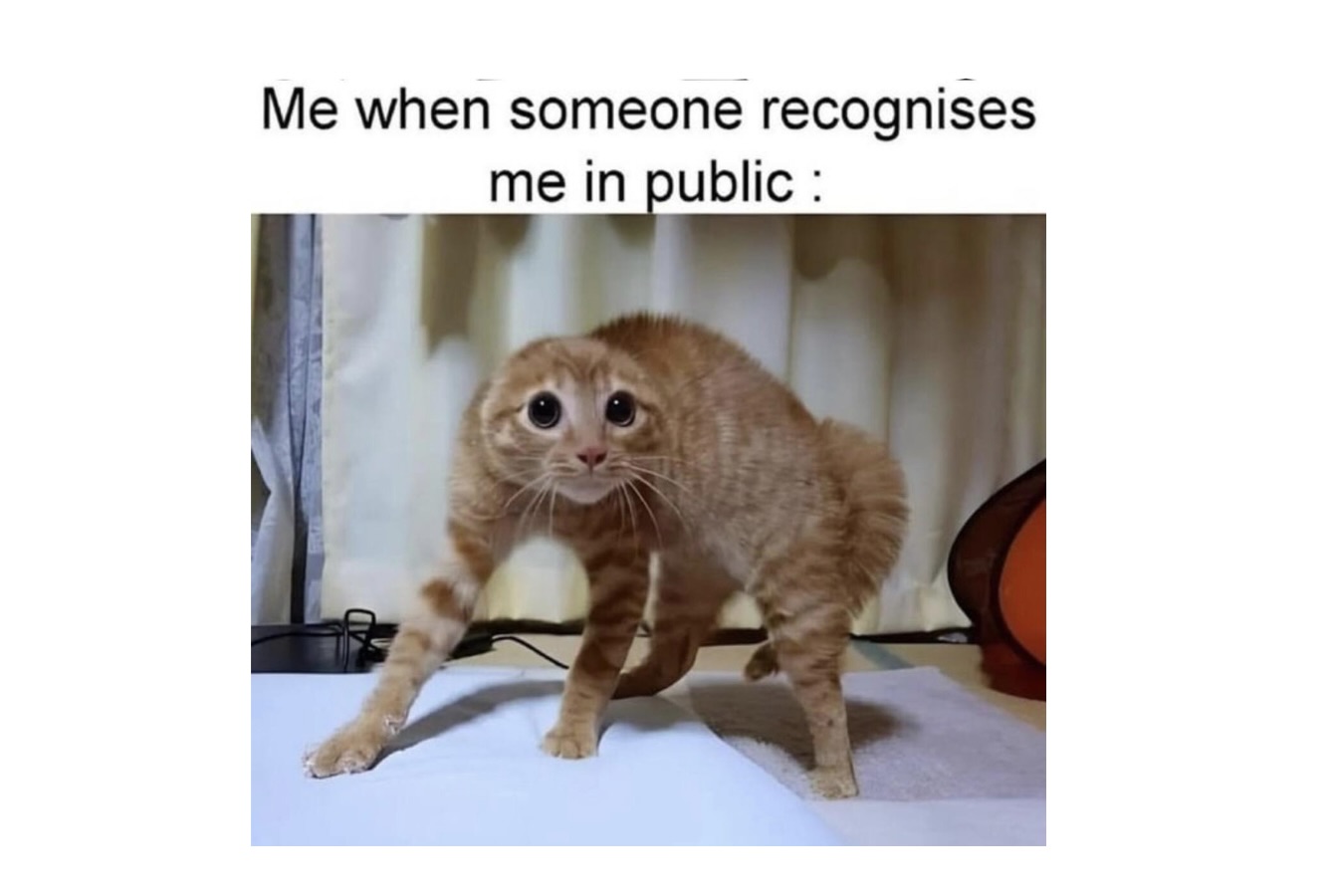 Awesome Introvert Memes That Treat Social Energy Like a Limited Resource - FG